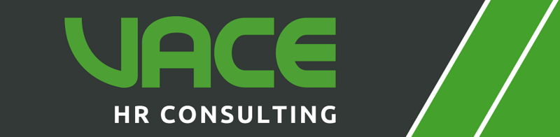 VACE Logo HR Consulting mit Slogan "connecting experts"