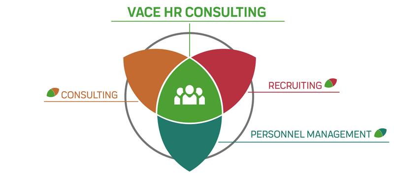 Big Picture HR Consulting